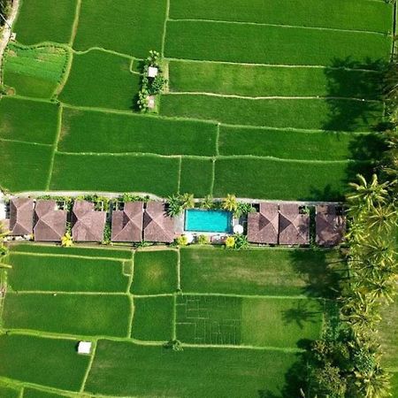 Intan Villa & Suite Ubud Exterior photo