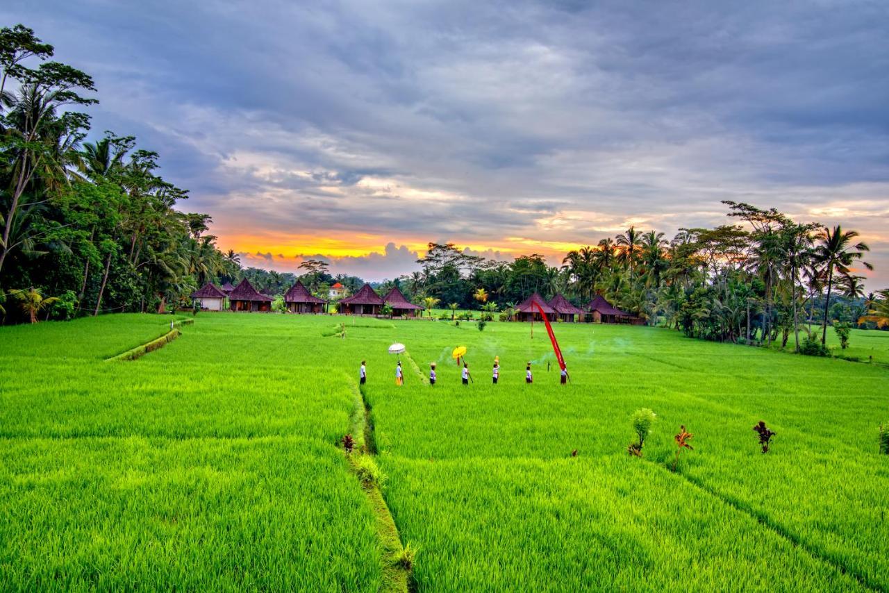 Intan Villa & Suite Ubud Exterior photo