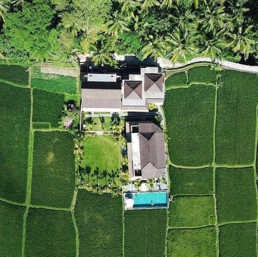 Intan Villa & Suite Ubud Exterior photo